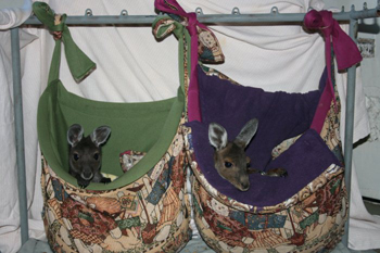 pouches by Lesley